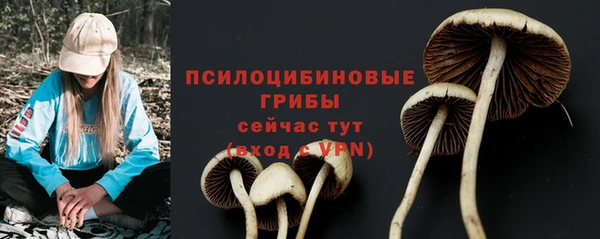 мет Пестово