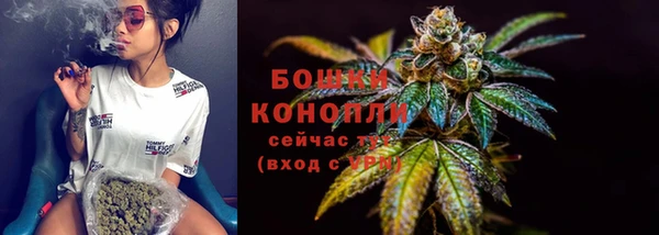 твердый Осташков