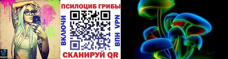 Псилоцибиновые грибы GOLDEN TEACHER  Бугуруслан 