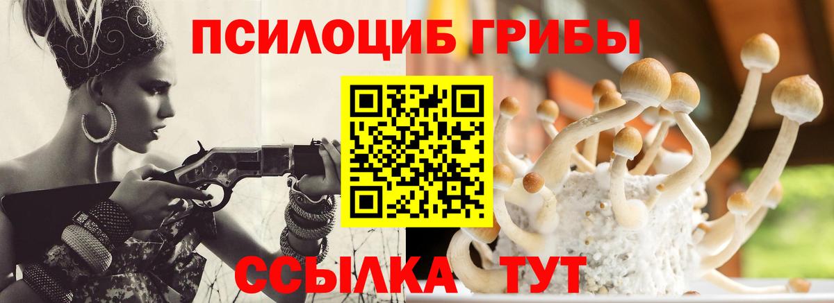 Псилоцибиновые грибы Psilocybine cubensis  Псилоцибиновые грибы мухоморы  Вход с VPN  Бугуруслан 